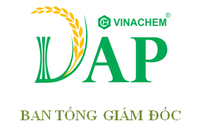 Ban Tổng Giám đốc